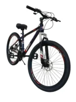 24 speed VLRA bicycle sturdy carbon steel frame off road bike