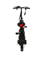 SF-16D E-Bike - Image 5